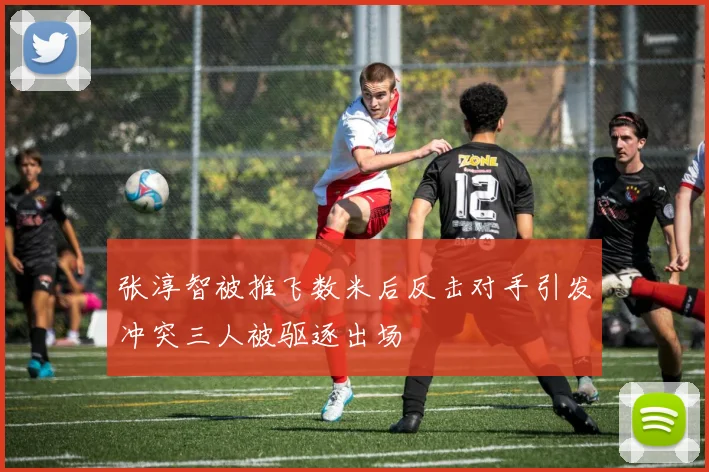 张淳智被推飞数米后反击对手引发冲突三人被驱逐出场